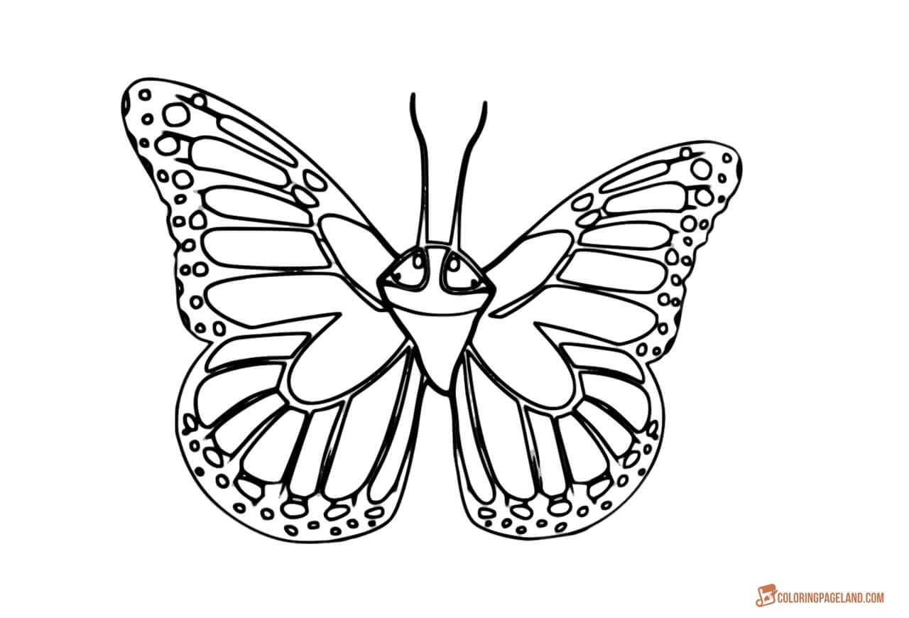 Cute Monarch template